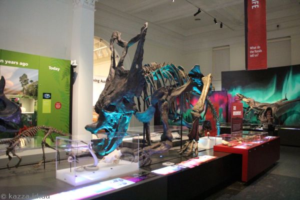 The Australian Museum
