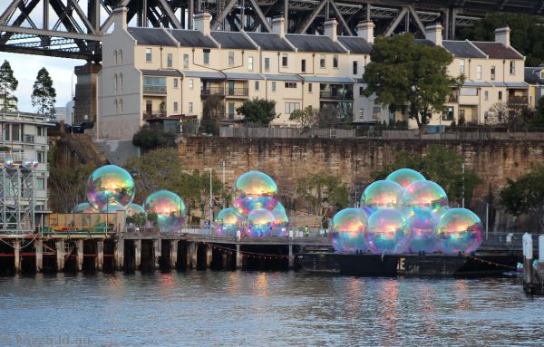 Bubbles for Vivid