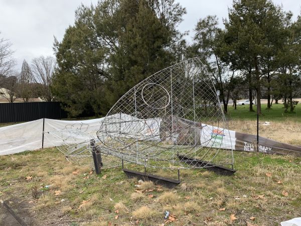 Belconnen olympics fish