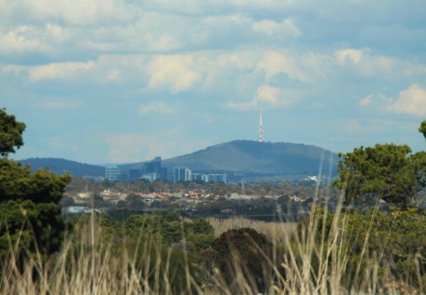 Belco and Black Mountain Tower