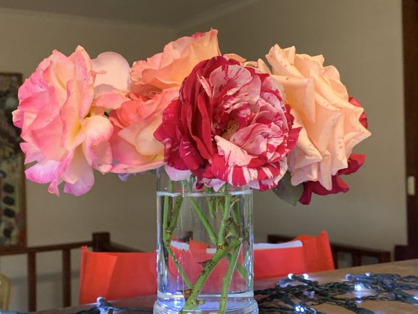 Bunch of roses