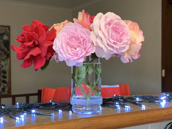 Bunch of roses