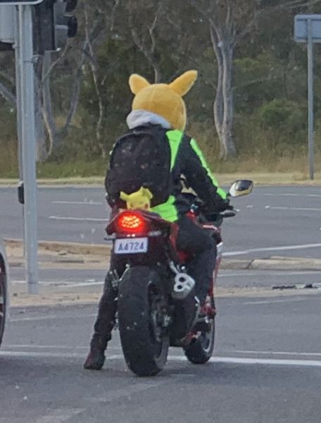 Canberra furry biker