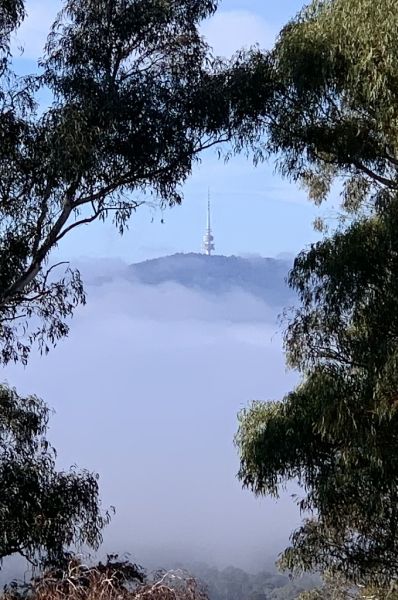 Cloudy tower