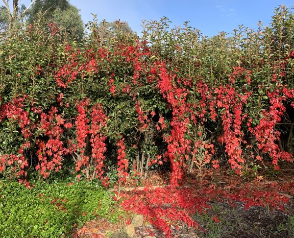 Must be autumn