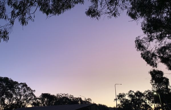 Pretty sunset