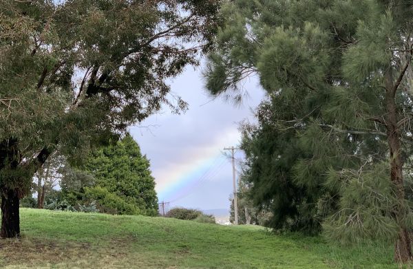 Rainbow