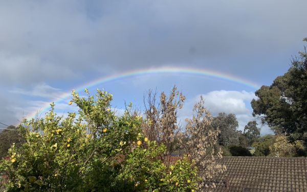 Rainbow
