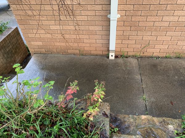 Front path before