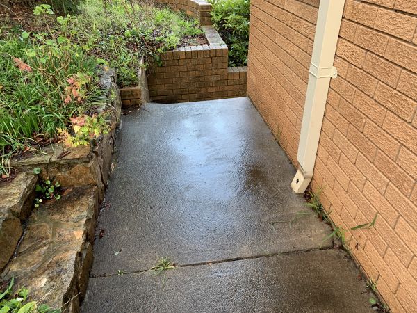 Front path before