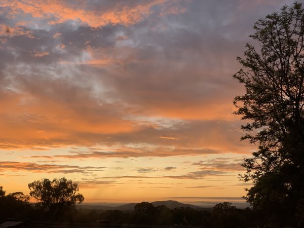 Sunrise