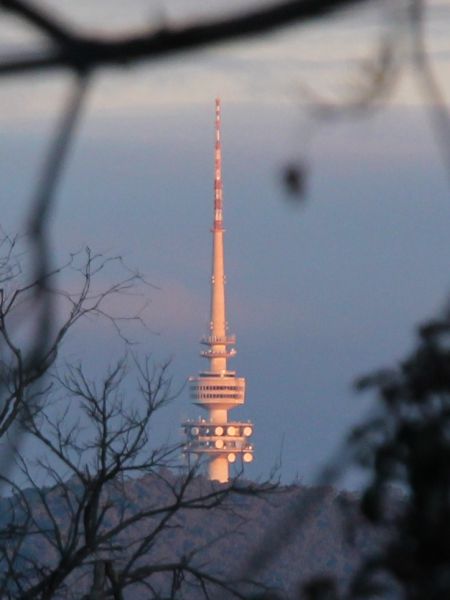 Black Mountain Tower at sunset