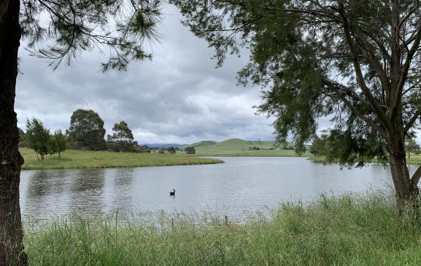 West Belconnen Pond