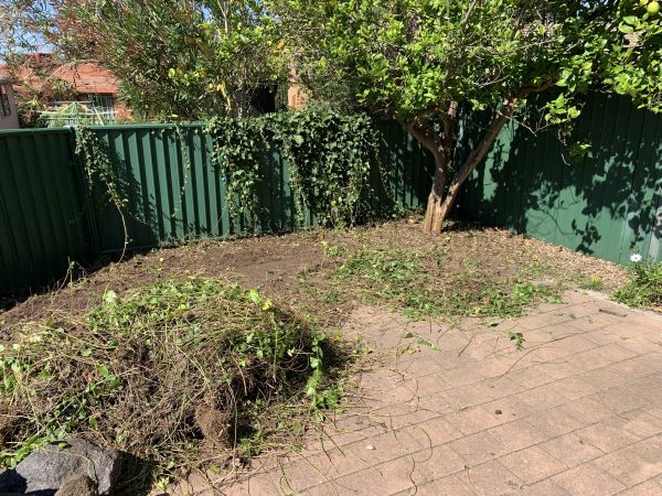 Whoops neighbour