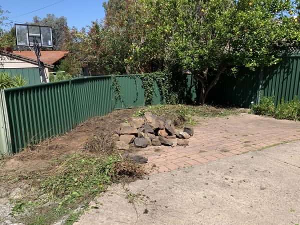 Whoops neighbour