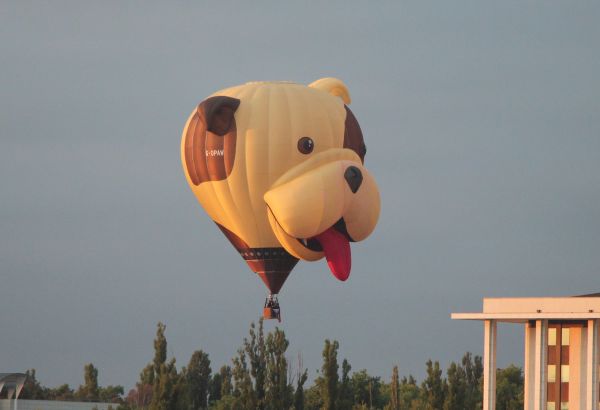 Balloon Fiesta