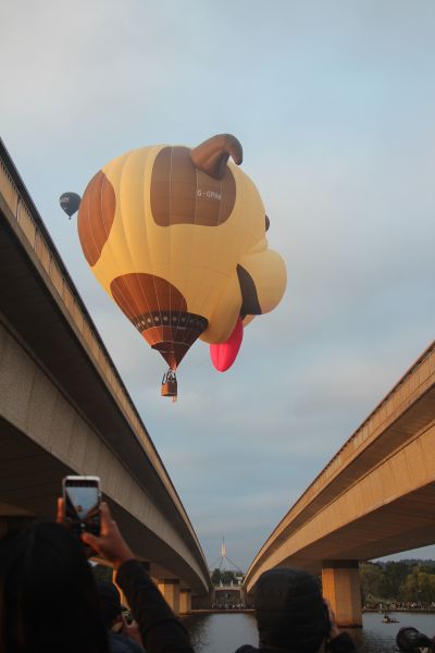 Balloon Fiesta