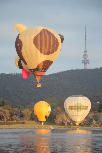 Balloon Fiesta