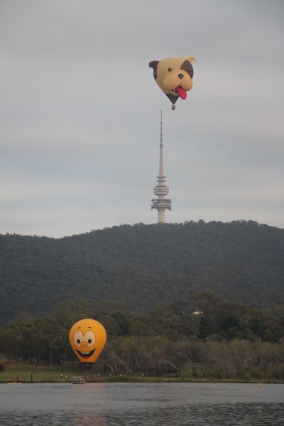 Balloon Fiesta