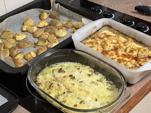 Basa bake