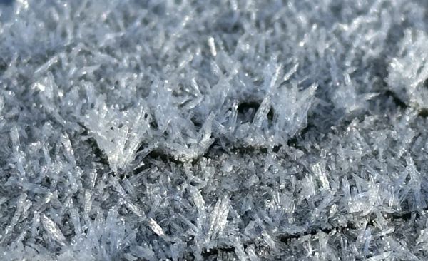 Bin frost