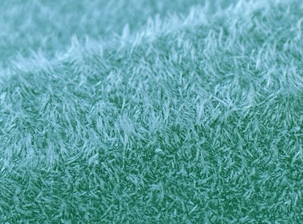 Bin frost