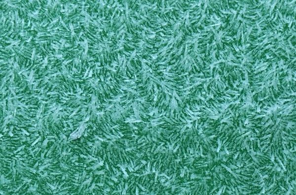 Bin frost