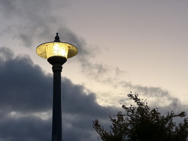 Lamp light