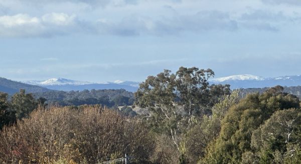 Snow past Queanbeyan