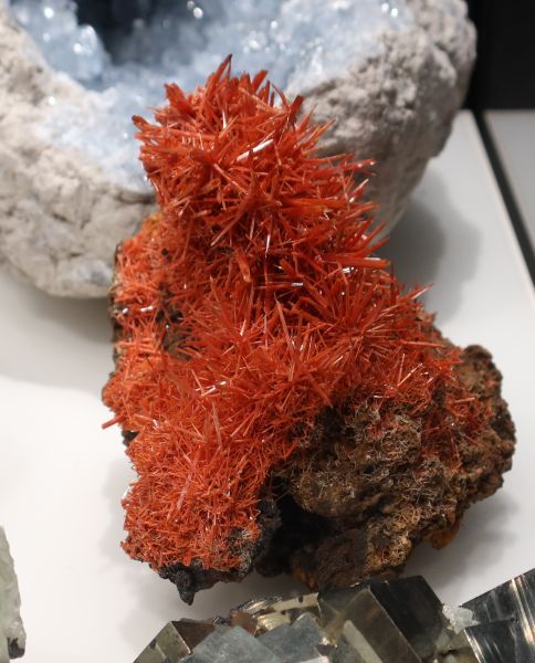 Crocoite from Tasmania