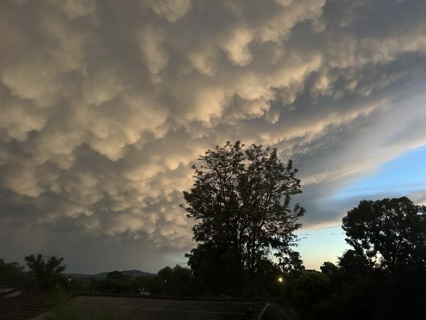 Mammatus clouds
