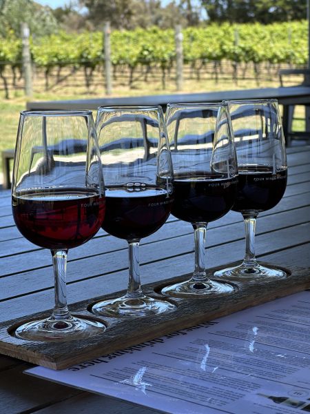 Four Winds red wine tasting flight