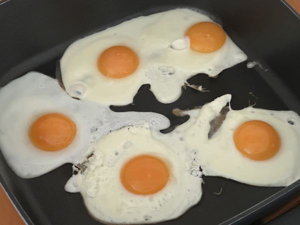 Fried eggs