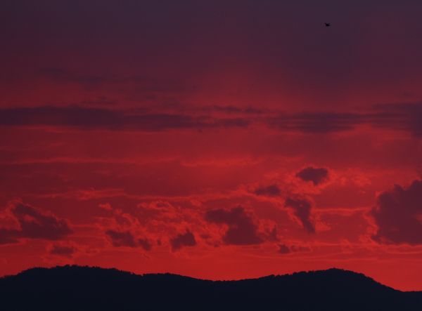 Calvary Hospital sunset