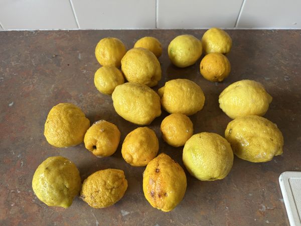 Lemons