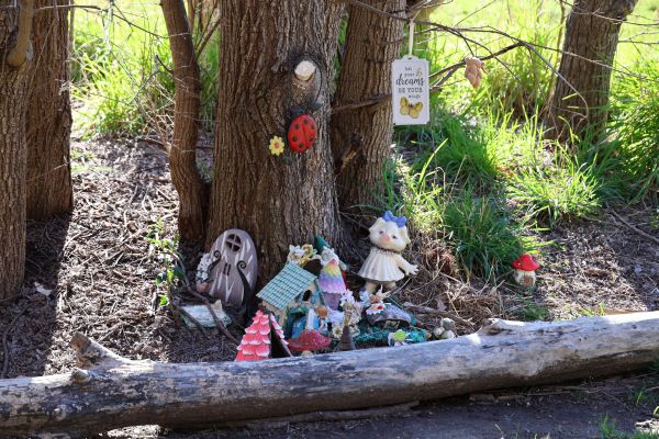 Palmerville fairy garden