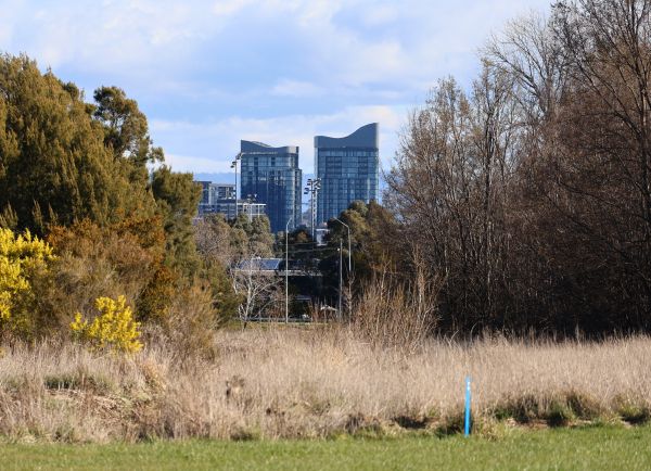 Belconnen from Palmerville