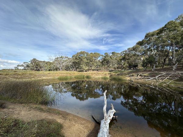 Dam at the Pinnacle