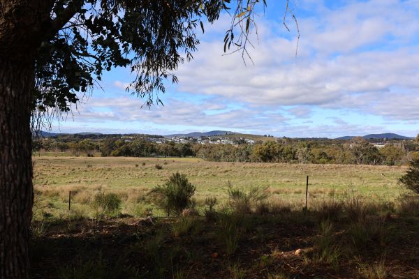 Lawson from Lake Ginninderra peninsula conservation site