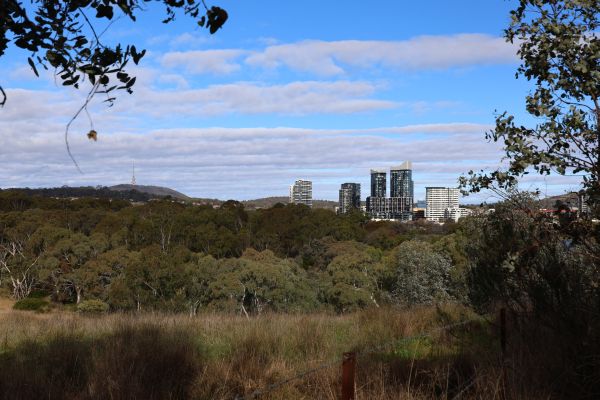 Belconnen