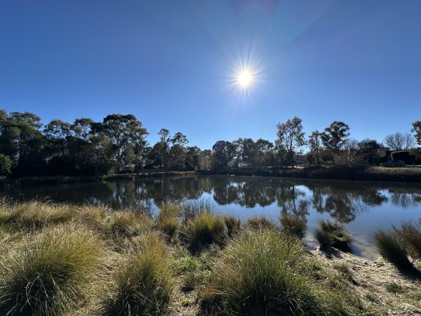 Watson pond