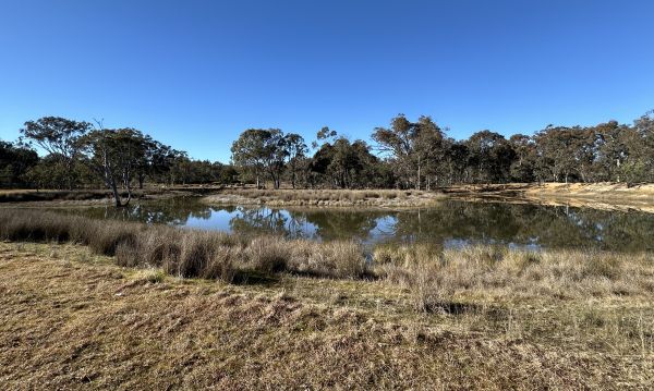 Mulligans Flat lower pond