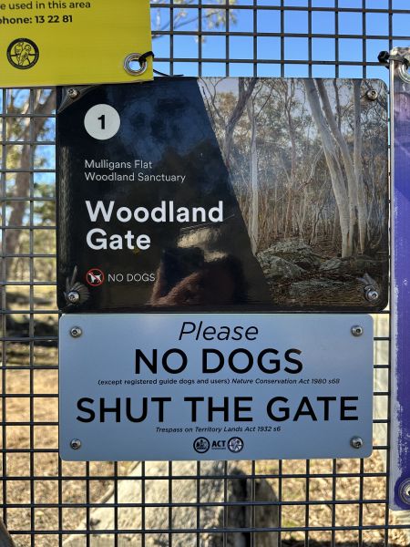 Woodland Gate at Mulligans Flat