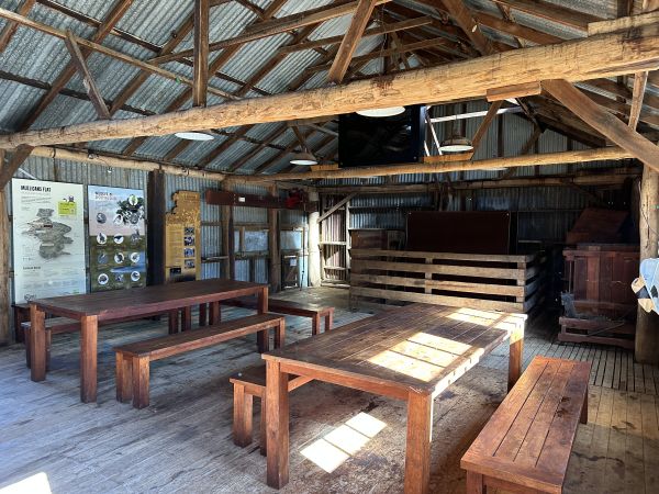 Mulligans Flat woolshed interior