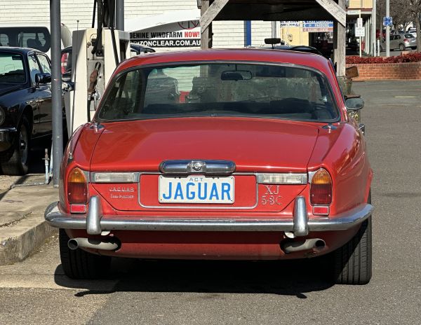 Jaguar in Yass