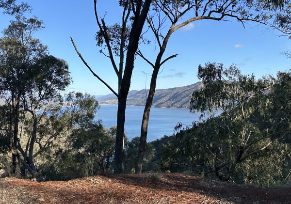 Lake Burrinjuck from the road in