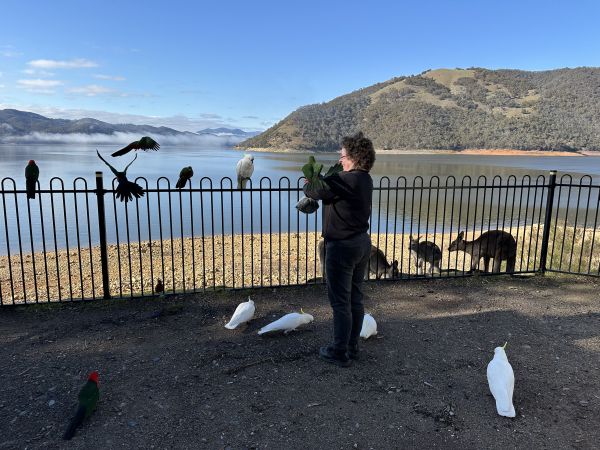 Me feeding birds