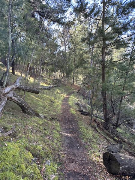 Hume and Hovell Track