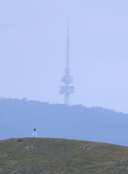 Hills