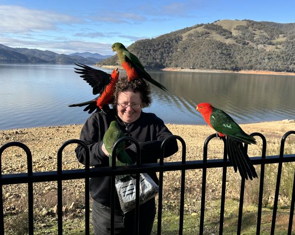 Feeding birds at Lake Burrinjuck